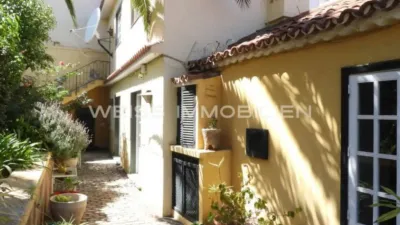 Chalet in La Orotava photo 19
