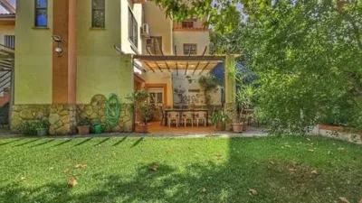 Chalet in Aguas Vivas-La Zambomba photo 5