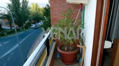 Apartment in Castalla photo 7