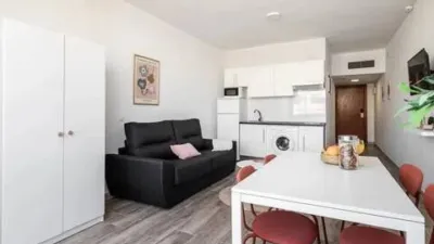 Apartment in Puerto Deportivo photo 8