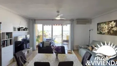 Apartment on Paseo del Malecón photo 5