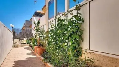 Casa – Orihuela - Más