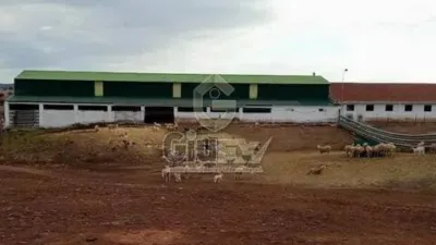 Miniatura 9