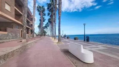 Apartment in Punta Calera photo 2