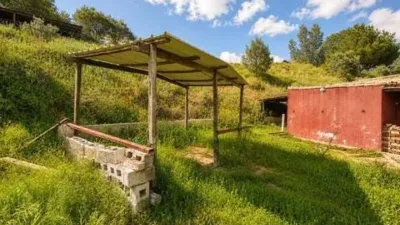 Rustic property in La Cala Golf-Lagar Martell photo 28
