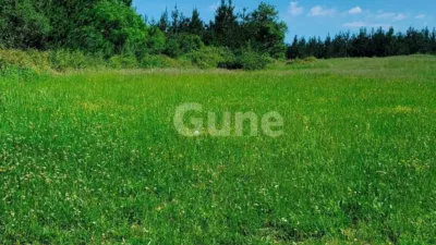 Rustic house in photo 6