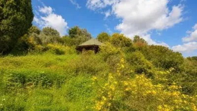 Rustic property in La Cala Golf-Lagar Martell photo 31