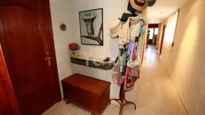 Apartment in Castalla photo 9