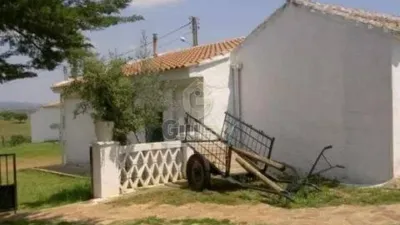 Miniatura 10