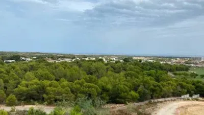 Apartment in Orihuela photo 34
