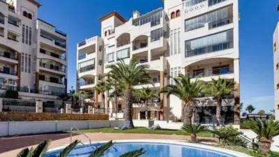 Pis – Guardamar del Segura, Urbanització Pinar de Guardamar - Vista 3
