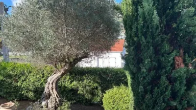 Chalet in Culleredo photo 19