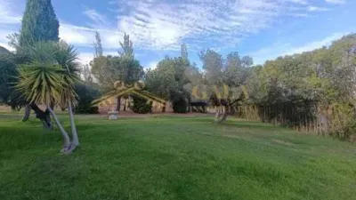 Chalet in Sur photo 10
