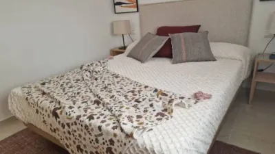 Apartment in Murcia Capital photo 15