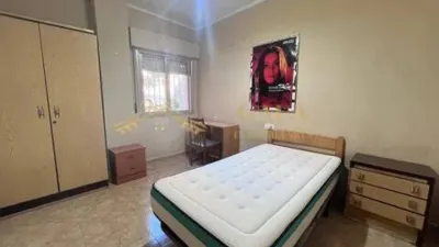 Apartment in Cáceres Capital photo 4