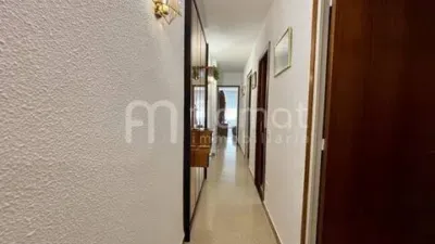 Piso en Pineda de Mar photo 24