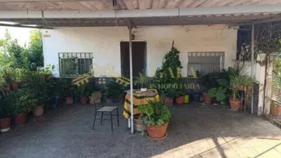 Chalet in Campus Universitario photo 48