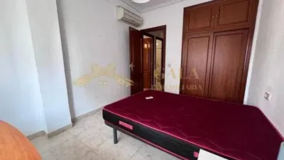 Apartment in Oeste-Nuevo Oeste photo 6