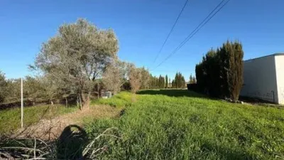 Rustic house in Fuente Palmera photo 40