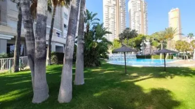 Pis – Benidorm - Vista 4