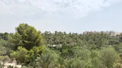 Piso – Elche/Elx, la Rata, el Baix Vinalopó - Más