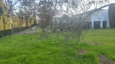 Rustic house in Fuente Palmera photo 26