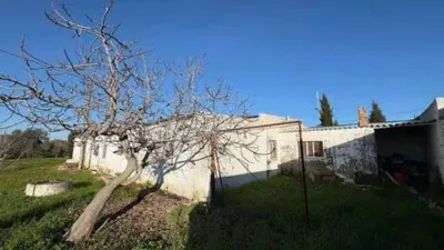 Rustic house in Fuente Palmera photo 35
