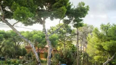 Chalet in Esplugues de Llobregat photo 35
