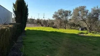 Rustic house in Fuente Palmera photo 43