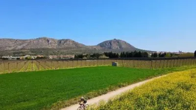 Terraced House in Passatge Falset photo 21