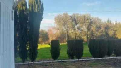 Rustic house in Fuente Palmera photo 15