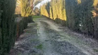 Rustic house in Fuente Palmera photo 34