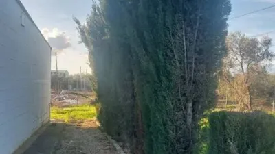Rustic house in Fuente Palmera photo 16