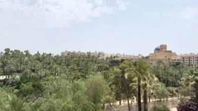 Piso – Elche/Elx, la Rata, el Baix Vinalopó - Vista 3