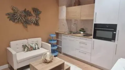 Apartment on Calle de Andrés Borrego photo 3