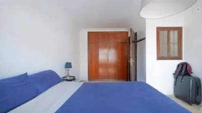 Apartment in Arenal photo 39
