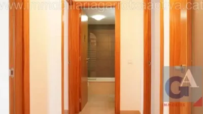 Apartment in Olot photo 11