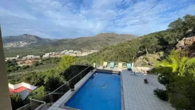 Chalet in Els Grecs-Mas Oliva photo 17