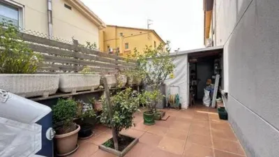 Chalet in Els Grecs-Mas Oliva photo 10
