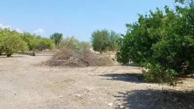 Rustic house in Abejuela photo 5
