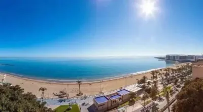 Apartment in Raval Roig photo 2