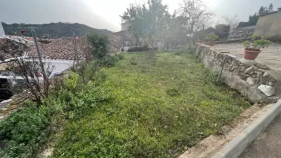 Chalet in Aracena photo 22