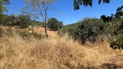 Chalet on N-A Street, -1 photo 7