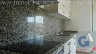 Apartment in Olot photo 8