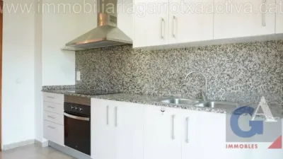 Apartment in Olot photo 9
