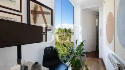 Chalet in Bellamar photo 43