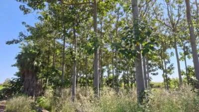 Terreno en venta en Pego - Vista 3