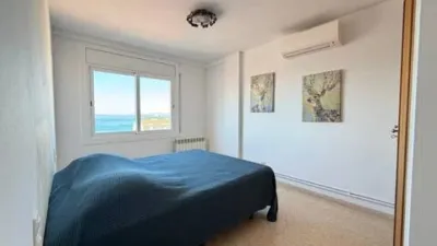 Apartment on Carrer del Puig Rom photo 26