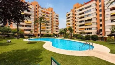 Pis – Alicante - Alacant - Vista 3