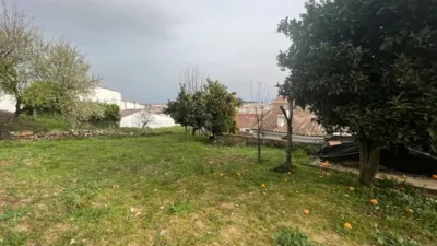 Chalet in Aracena photo 24